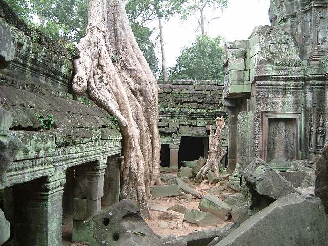 世界遺産・タ・プロームの写真の写真