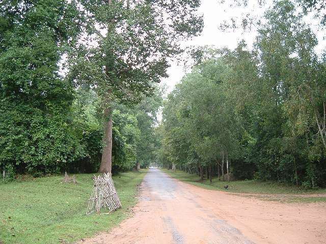 世界遺産・チャウ・サイ・テボーダ・参道の写真の写真
