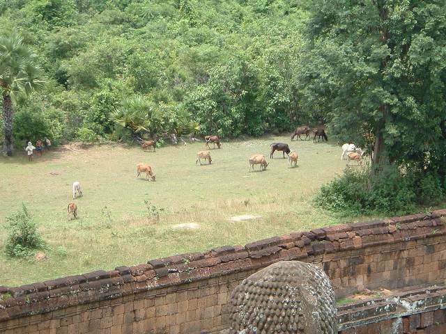 世界遺産・プレ・ループの写真の写真