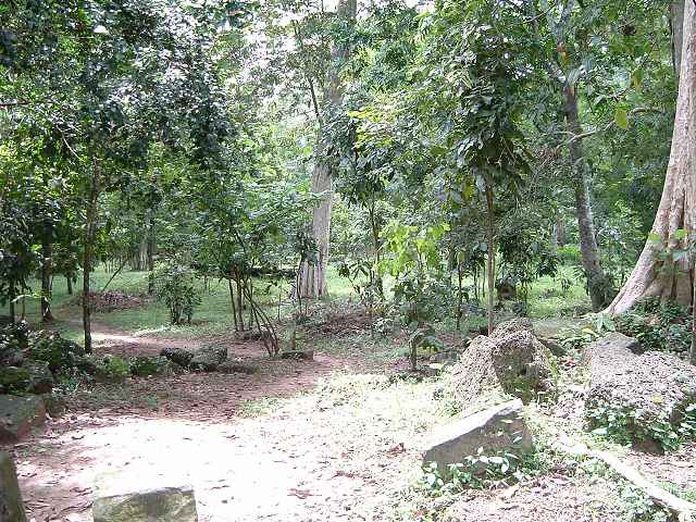 世界遺産・アンコール・トムの写真の写真