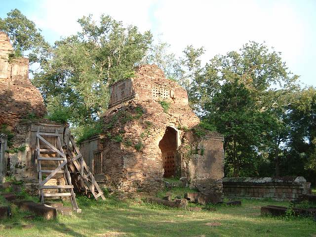 バコンの写真の写真