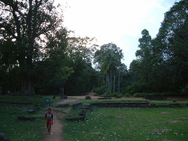 バコンの写真の写真