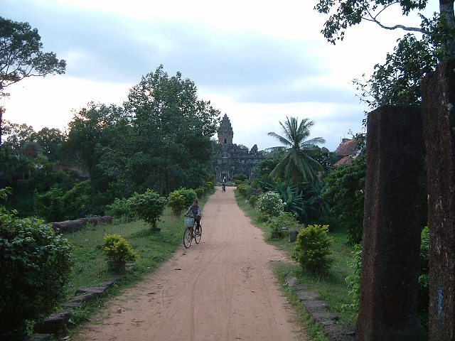 バコンの写真の写真