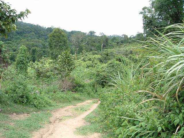 世界遺産・クバール・スピアンの写真の写真