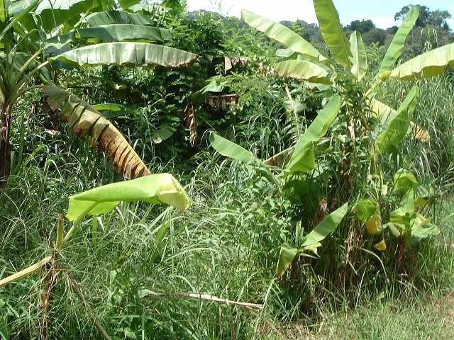 世界遺産・クバール・スピアンの写真の写真