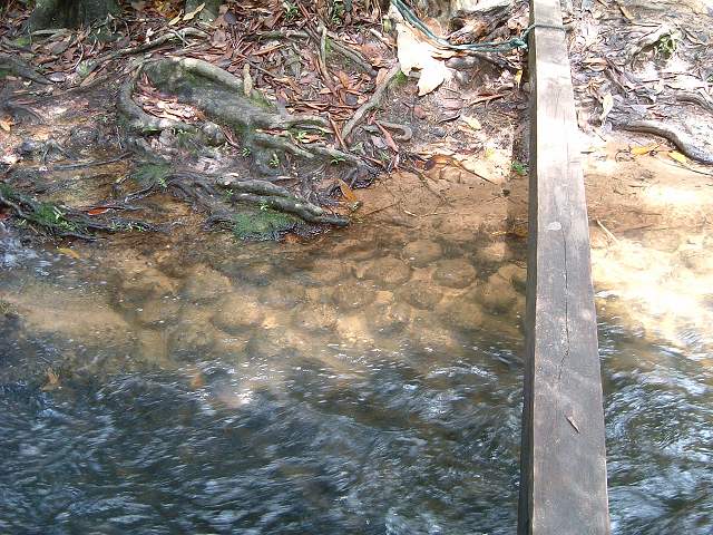 世界遺産・クバール・スピアン・水の中に沈む遺跡の写真の写真