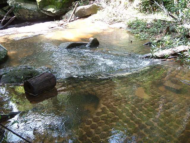 世界遺産・クバール・スピアンの写真の写真
