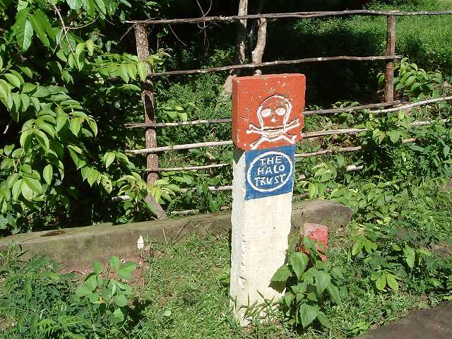 ベンメリア・地雷が残る場所の写真の写真