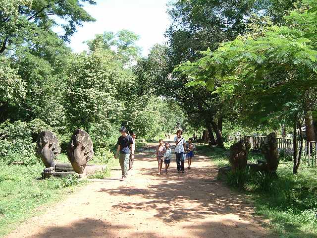 ベンメリア・参道の写真の写真