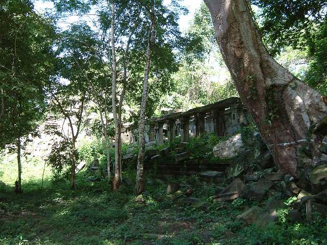 ベンメリアの写真の写真