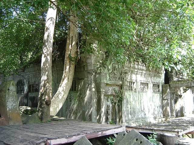 ベンメリアの写真の写真