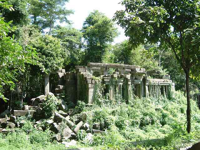 ベンメリアの写真の写真