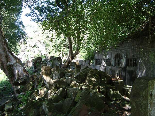 ベンメリアの写真の写真