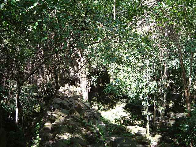 ベンメリアの写真の写真