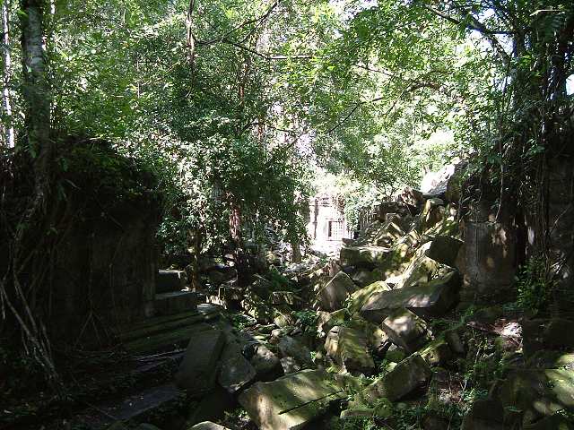 ベンメリアの写真の写真