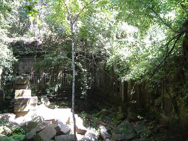 ベンメリアの写真の写真