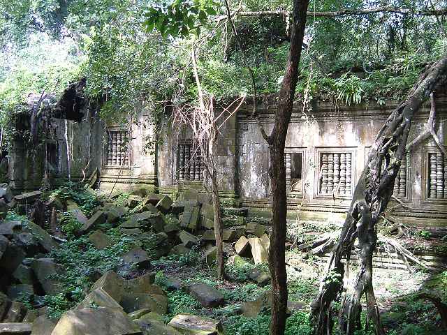 ベンメリアの写真の写真