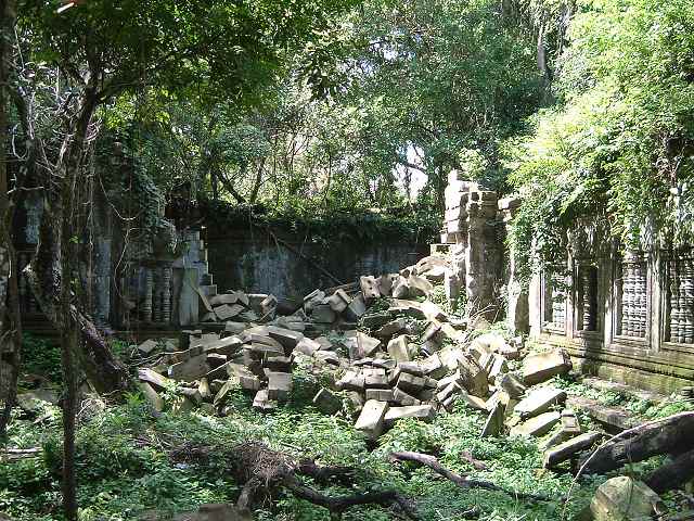 ベンメリアの写真の写真