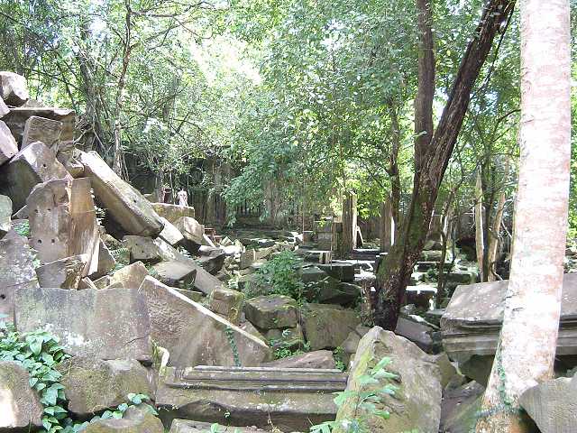 ベンメリアの写真の写真