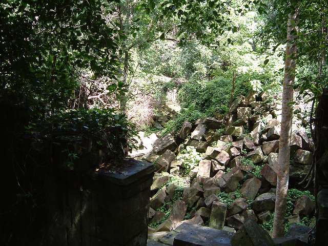 ベンメリアの写真の写真