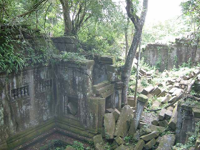 ベンメリアの写真の写真