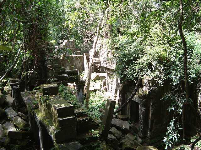 ベンメリアの写真の写真