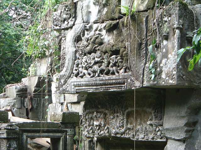 ベンメリアの写真の写真