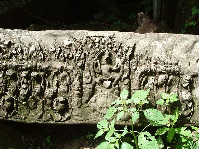 ベンメリアの写真の写真