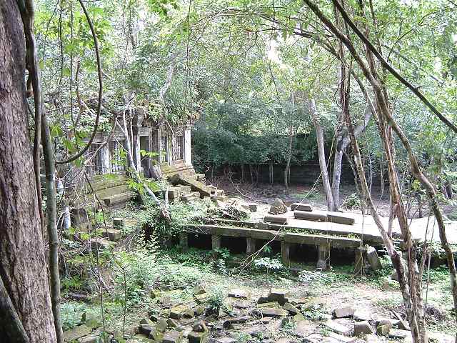 ベンメリアの写真の写真