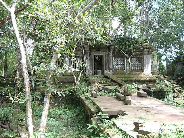 ベンメリアの写真の写真