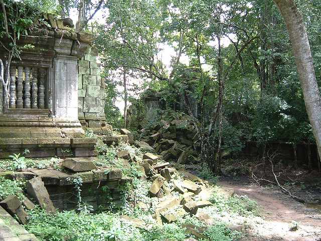 ベンメリアの写真の写真