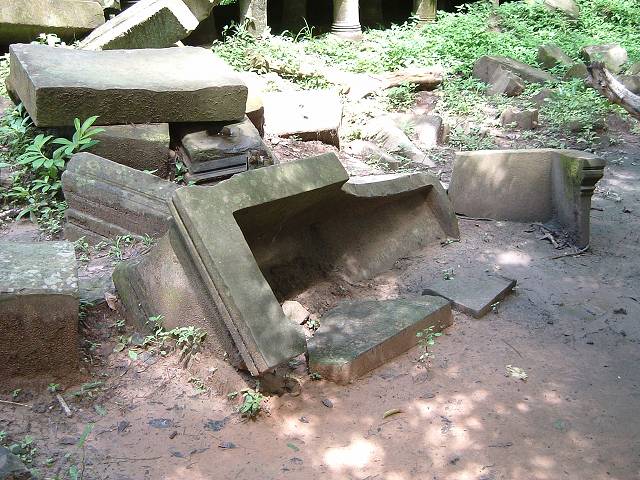 ベンメリアの写真の写真