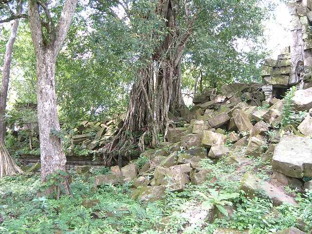 ベンメリアの写真の写真