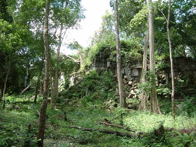 ベンメリアの写真の写真