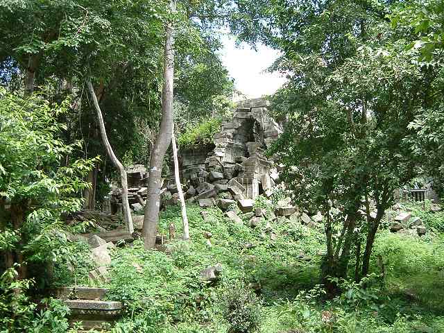 ベンメリアの写真の写真