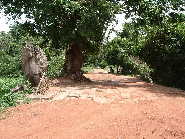 ベンメリアの写真の写真