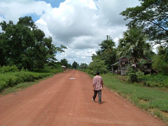 ベンメリア・どこまでも続く道の写真の写真