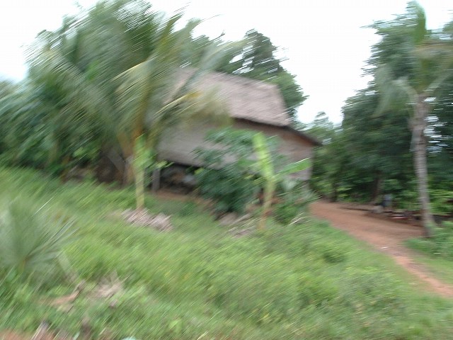 ベンメリアの写真の写真