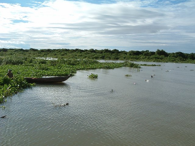 トンレサップ湖・トンレサップ川の写真の写真