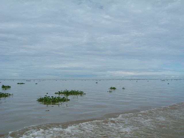 トンレサップ湖・トンレサップ川の写真の写真
