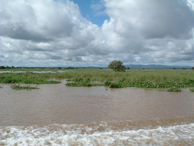 トンレサップ湖・トンレサップ川の写真の写真