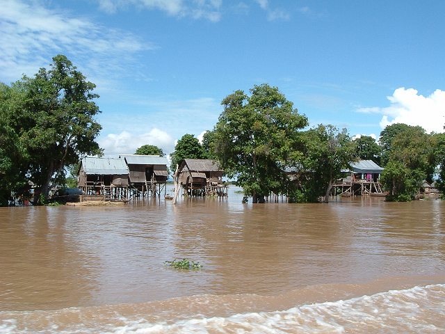 トンレサップ湖・トンレサップ川・雨季なので増水中の写真の写真