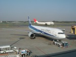 ANA・全日空塗装・B767-300ER