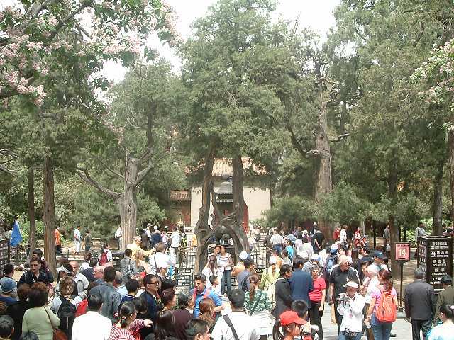 北京(故宮)の写真の写真