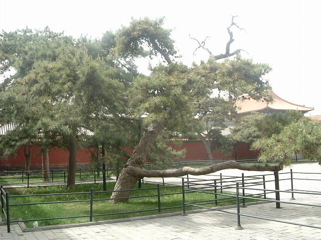 北京(故宮)の写真の写真