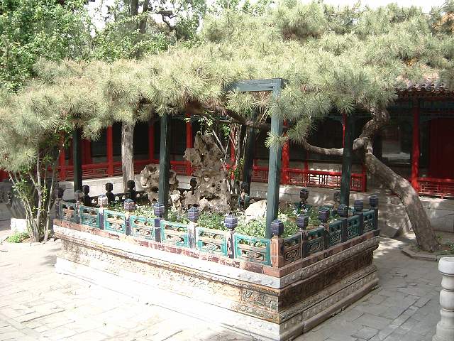 北京(故宮)の写真の写真