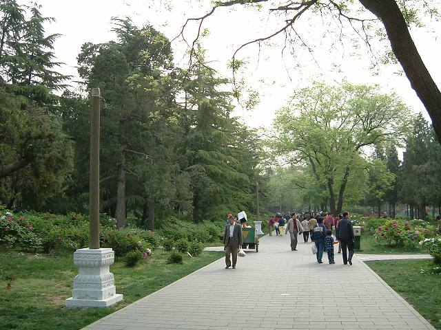 景山公園の写真の写真