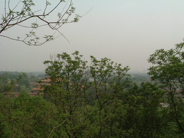 景山公園の写真の写真