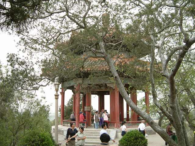 景山公園の写真の写真