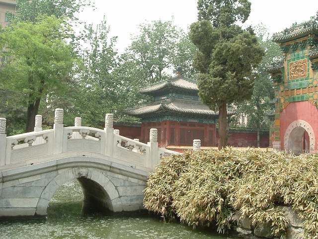 北海公園の写真の写真